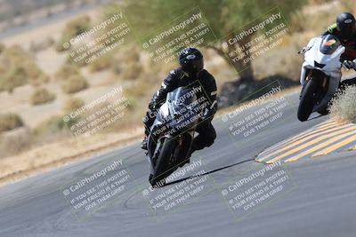 media/May-14-2023-SoCal Trackdays (Sun) [[024eb53b40]]/Turn 5 Tree of Life (1125am)/